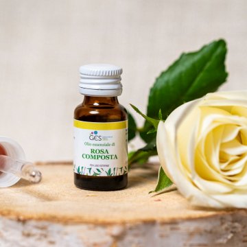 ROSA COMPOSTA
